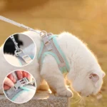 Cat and Dog Leash Anti-shedding Vest Breathable Reflective Pet Chest Harness Small Dog and Cat Leash Pet Outdoor Supplies - Image 3