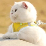 Cat and Dog Leash Anti-shedding Vest Breathable Reflective Pet Chest Harness Small Dog and Cat Leash Pet Outdoor Supplies - Image 4