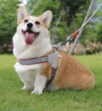 Pet dog leash vest-style pet chest harness dog walking rope small, medium and large dogs outdoor dog walking traction supplies - Image 3