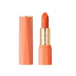 Orange Lipstick Lip Glaze Silky Smooth Matte Lip Gloss Carrot Bright Color Lasting Lip Stick Sexy Women Cosmetics Makeup Product - Image 5