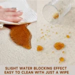 Entrance Door Mat Non-slip Wear-resistant Dust-resistant Dirt-resistant Floor Mats Big Size Loop Pile Carpet Home Decoration Rug - Image 5