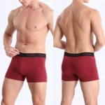 4pcs Solid Color Mens Boxer Briefs Cotton Boxers Men's Panties Fashion Underwear For Man Underpants Sexy Trunks High Quality - Image 2
