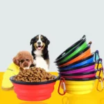 TPE dog bowl cat bowl wear-resistant and durable pet folding bowl travel outdoor drinking water feeding portable pet bowl - Image 2