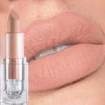 Handaiyan 12 Colors Matte Waterproof Velvet Nude Lipstick Sexy Red Brown Pigments Makeup Long Lasting Profissional - Image 2