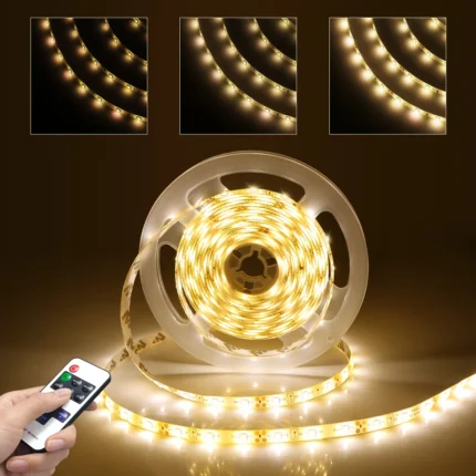 Dimmable LED Strip Lights With RF Remote Controller AC220V 110V To DC 12V Power Supply 2835 LED Strips Kitchen Lamp Waterproof