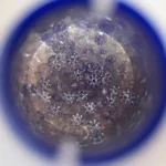 0.7~2.5mm Cubic Zirconia Stone Round 5A 100PCS~10000PCS Classic White Cubic Zircon Gems CZ For Jewelry Earring Ring Set DIY - Image 4