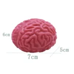 NEW Squishy Brain Stress Relief Toys Creative Quirky Simulation Brain Adult Children Improve Attention Sensory Intelligence Toys - Image 6