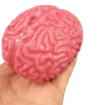NEW Squishy Brain Stress Relief Toys Creative Quirky Simulation Brain Adult Children Improve Attention Sensory Intelligence Toys - Image 2