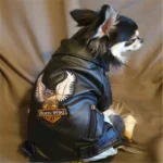 Glorious Eagle Pattern Dog Coat PU Leather Jacket Soft Waterproof Outdoor Puppy Outerwear Fashion Clothes For Small Pet(XXS-XXL) - Image 2
