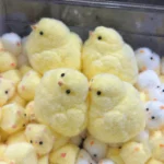 Handmade Yellow Big Chicken Plush Silicone Squishy Pinching Toys Cute Hen Chicks Taba Squeezing Toy Fuzzy Release Hand Stress - Image 2