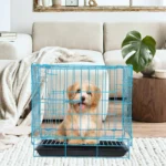 Folding Metal Crate, Cage Crate with Removable Tray, Wire Kennel Cage Segregation Cage Crate ( Blue, )