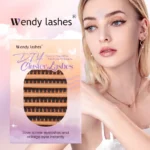 Wendy Lashes Cluster Lashes 200Pcs Eyelash extension 50/60/80D Volume Individual Lashes Mixed Tray Faux Mink Lash Cilias Makeup