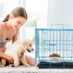 Folding Metal Crate, Cage Crate with Removable Tray, Wire Kennel Cage Segregation Cage Crate ( Blue, ) - Image 4