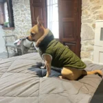 Warm Fleece Dog Jacket Vest Winter Dog Clothes Puppy Cats French Bulldog Coat Chihuahua York Pet Apparel for Small Medium Dogs - Image 2