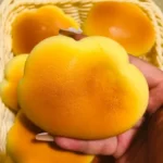 Caramel Color Cloud Bread Slow Rebound Pinch Music Decompression Vent Toy squishy Decompression - Image 3