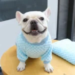 Pet Autumn and Winter Fleece Clothes Dog Cat Warm Coat Small Dogs Clothing Chihuahua Costumes