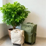 20/24/28 Inch Ultra-light Luggage Large Capacity Oxford Cloth Waterproof Trolley Case Boarding Box Password Travel Bag 캐리어 - Image 3