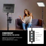 NEEWER BASICS 2 Pack LED Video Light Panel Lighting Kit with 2 59'' Stands & 2 Phone Holders for Photography Filming Recording - Image 4